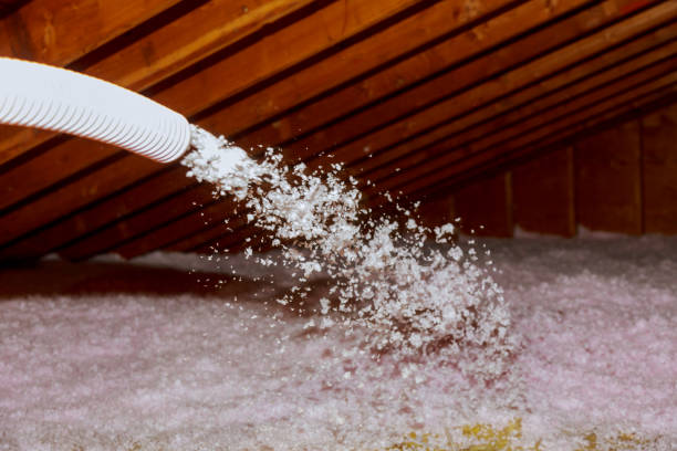 Best Types of Insulation in Lake Monticello, VA