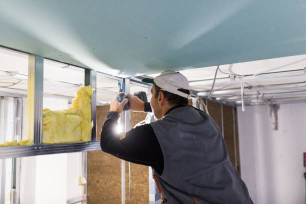 Best Insulation Maintenance and Repair in Lake Monticello, VA